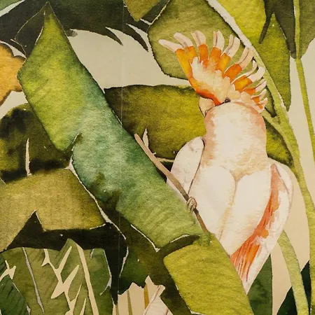 Safira 302 Appartement