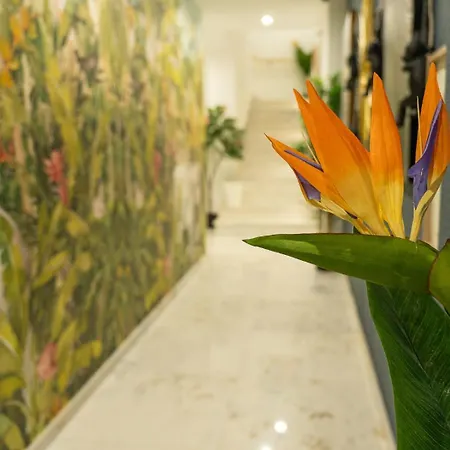 Apartment Safira 302