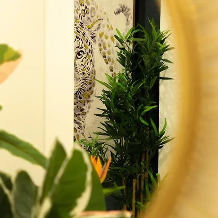 Safira 302 * Funchal (Madeira)